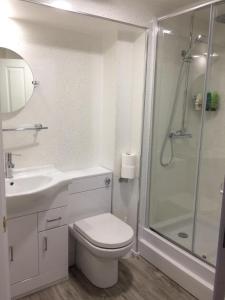 uma casa de banho branca com um WC e um chuveiro em The Village Inn em Kirtlebridge