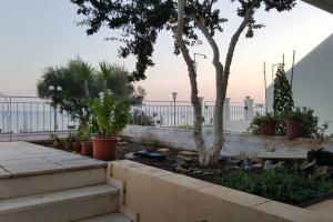 Vonkajšia záhrada v ubytovaní The Beach House Gerakini Chalkidiki
