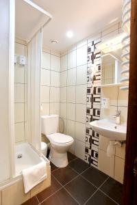 een badkamer met een toilet en een wastafel bij АНАСОЛЬ in Slavske