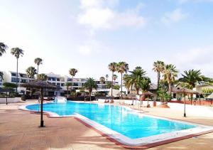 a swimming pool at a resort with palm trees at Villa Sun and sea 1 front de mer Playa Rocca Costa Teguise in Costa Teguise