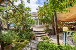 einen Garten mit Pflanzen und Bäumen in der Unterkunft Villa Maresca B&B in Piano di Sorrento