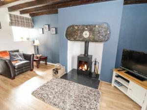 a living room with a fireplace and a tv at Afallon in Betws-y-coed