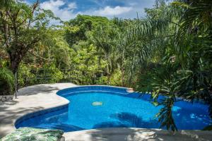a swimming pool in a garden with trees at Villa Bruga en Samara Rocks in Sámara