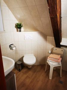 a bathroom with a toilet and a sink at Stadl Suite in Sankt Margarethen im Lavanttal +26 photos