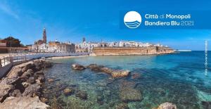 a view of a beach with a city in the background at La casa dell'angelo in Monopoli