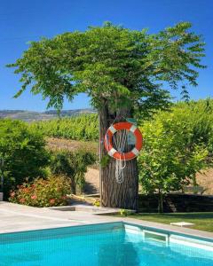Der Swimmingpool an oder in der Nähe von Quinta da Salada - Turismo Rural