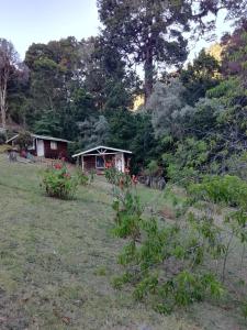 Zahrada ubytování Miriam'S Quetzals lodge