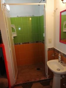 a bathroom with a shower and a sink at La Frida Kahlo Verde 1er piso in Mexico City