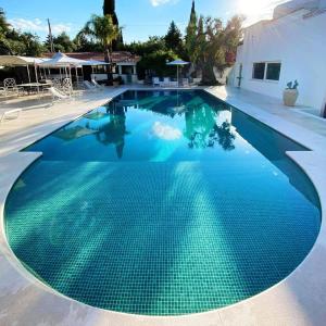 a large swimming pool with blue water at B&B Antico Ulivo in Monopoli