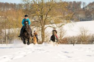 Hosté ubytování Ferienhof Homann Sauerland