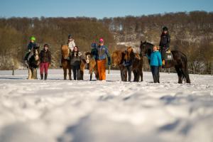 Hosté ubytování Ferienhof Homann Sauerland