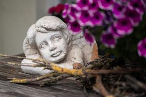 Fotografie z fotogalerie ubytování Ferienhof Homann Sauerland v destinaci Brilon