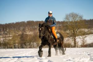 Hosté ubytování Ferienhof Homann Sauerland