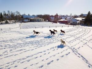 Ferienhof Homann Sauerland v zimě