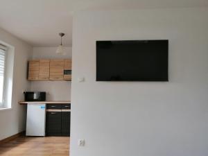 Η κουζίνα ή μικρή κουζίνα στο Apartament Tygrysek