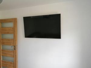 Μια τηλεόραση ή/και κέντρο ψυχαγωγίας στο Apartament Tygrysek