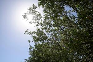 Loodusmaastik külalistemaja lähedal