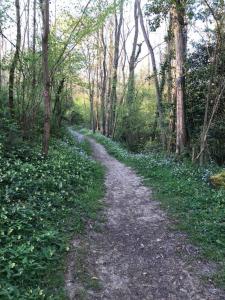 Afbeelding uit fotogalerij van chambres d'hotes Labatut in Labatut +22 foto's