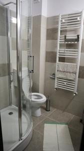 Ein Badezimmer in der Unterkunft Pensiunea Nádas Panzió