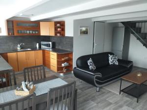 sala de estar con sofá negro y cocina en Apartmán u kolejí I en Klobouky u Brna