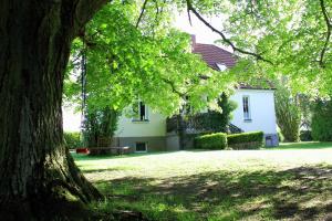 ein großer Baum vor einem weißen Haus in der Unterkunft Ferienhaus Ratteyer Idyll in Schönbeck