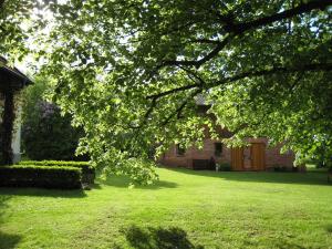 ein Haus mit einem grünen Garten mit einem Baum in der Unterkunft Ferienhaus Ratteyer Idyll in Schönbeck