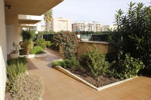 a garden with flowers and plants in a building at AT057 Estudio con aparcamiento a pocos metros de la playa La Paella in Torredembarra