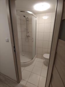 a bathroom with a shower and a toilet at Mazurska Perła in Jaśkowo