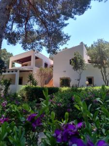 a house with flowers in front of it at Viviendas Turísticas Vacacionales Allida in Playa Migjorn