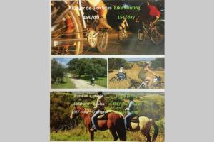 a collage of pictures of a person riding a horse at Casa de S. Domingos in Évora