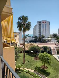 uma vista para um parque com uma palmeira e edifícios em Apt Erisa en Torremolinos dos min de la playa, Puerto Marina em Torremolinos