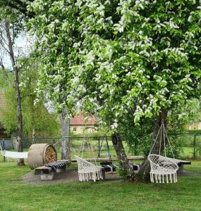 einen Park mit Schaukeln, einem Baum und einer Hängematte in der Unterkunft KG SleepOver in Karl Gustav