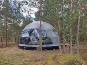 博尔斯克Podniebny Glamping的相册照片
