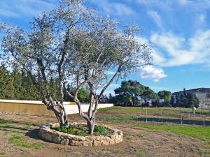 a tree in a stone circle in a field at Holiday Home Domaine La Batisse by Interhome in Lespignan