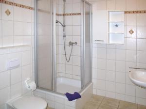 ツィノヴィッツにあるApartment Berit by Interhomeのバスルーム(シャワー、トイレ、シンク付)