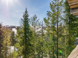Aussicht von der Terrasse einer Hütte mit Bäumen in der Unterkunft Holiday Home Rinnekieppi 2 by Interhome in Ruka