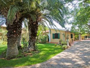 a house with two palm trees next to a driveway at Villa Orchidea by Interhome in Arenella