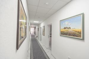 Fotografie z fotogalerie ubytování Vila Safir v destinaci Loznica