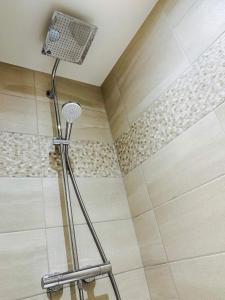 a shower with a shower head in a bathroom at LE "PETIT GERVAIS" pour un instant parfait ! in Saint-Gervais-les-Bains