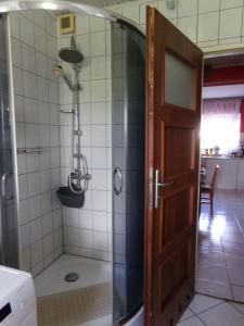 a shower with a glass door in a bathroom at Agroturystyka u Willima in Mechnica