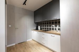 Kuchyňa alebo kuchynka v ubytovaní Stylowe Apartamenty Plewiska