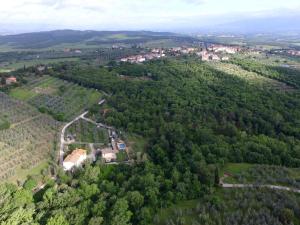 eine Luftansicht eines Waldes von Bäumen in der Unterkunft Holiday Home Pianelli by Interhome in Pergine Valdarno