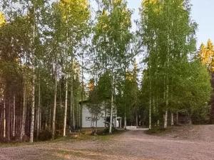 a house in the middle of a forest of trees at Holiday Home Halmesaari by Interhome in Kerkonjoensuu