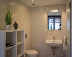 a bathroom with a sink and a toilet and a mirror at Swebenhus boven - 4 Sterne-Appartement in Plau am See