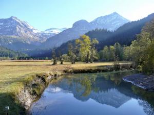 a river in a field with mountains in the background at Apartment Am Schilf by Interhome in Lauenen