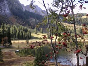 a view of a valley with a lake and mountains at Apartment Am Schilf by Interhome in Lauenen