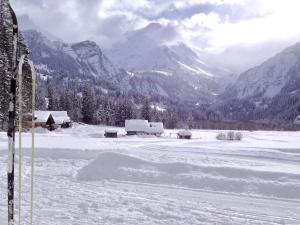 a snow covered field with mountains in the background at Apartment Am Schilf by Interhome in Lauenen