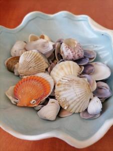 a plate full of shells on a table at Hotel Tomis Neptun in Neptun