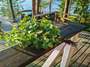 a plant sitting on top of a wooden bench at Holiday Home Le club 44 by Interhome in Kausala