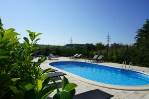 a swimming pool with lounge chairs around it at Vila Carlos in Baile Felix